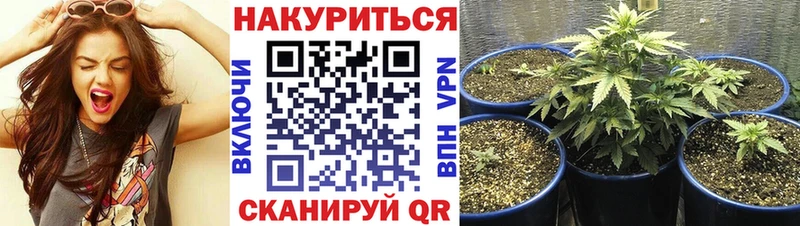 МАРИХУАНА LSD WEED  Купить где  Томилино 